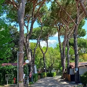 Linus Marina di Massa